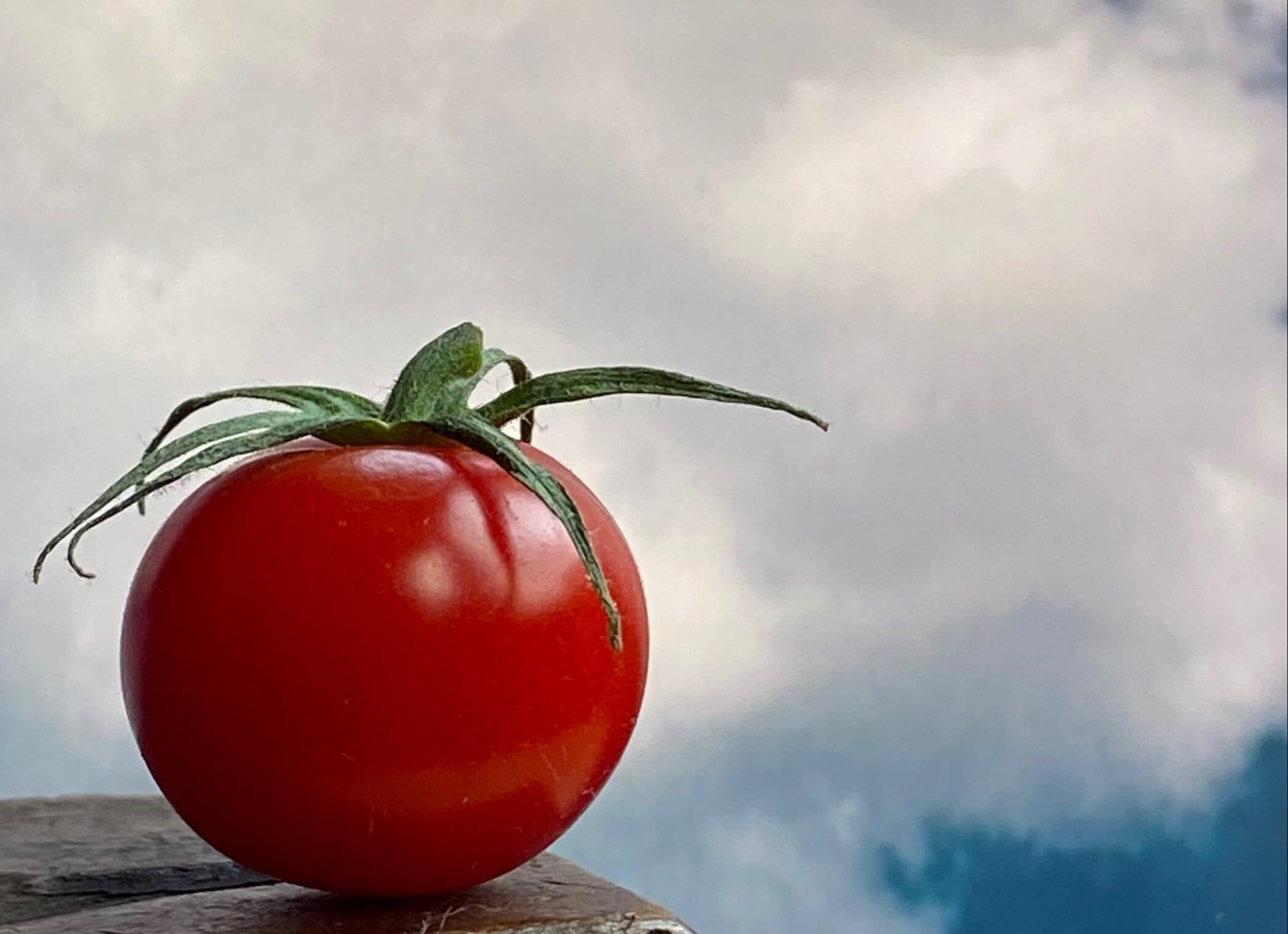 The Pomodoro Method Tomato_Pomodoro