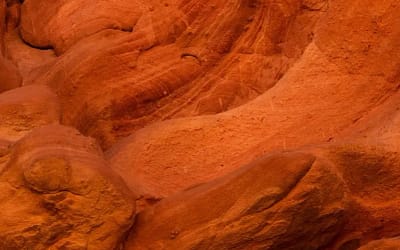 Belltree Dataverse and model-driven Power Apps case study by Flyte Cloud Services